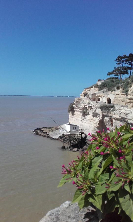 Gite Le Cozillon Cozes ภายนอก รูปภาพ
